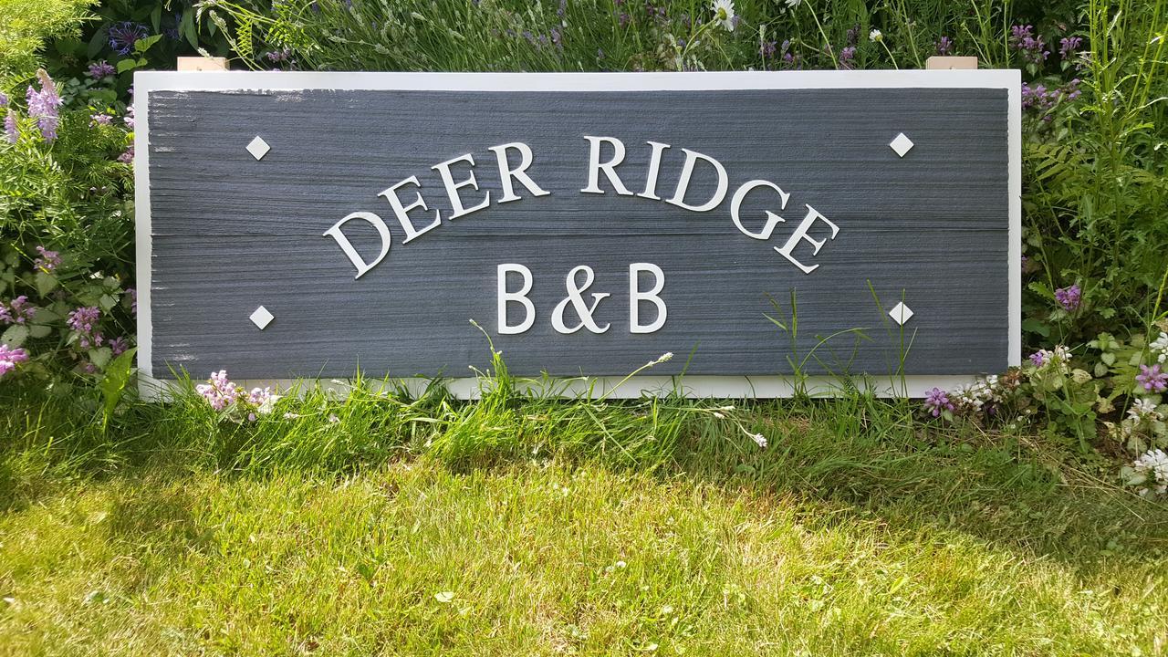 Deer Ridge B&B Голден Экстерьер фото